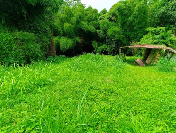 1570 m² - GROS-MORNE- terrain constructible