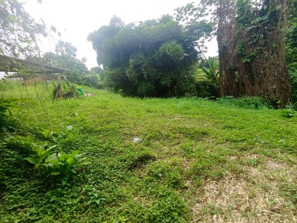 1570 m² - GROS-MORNE- terrain constructible