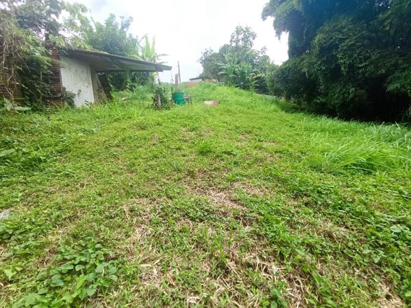 1570 m² - GROS-MORNE- terrain constructible