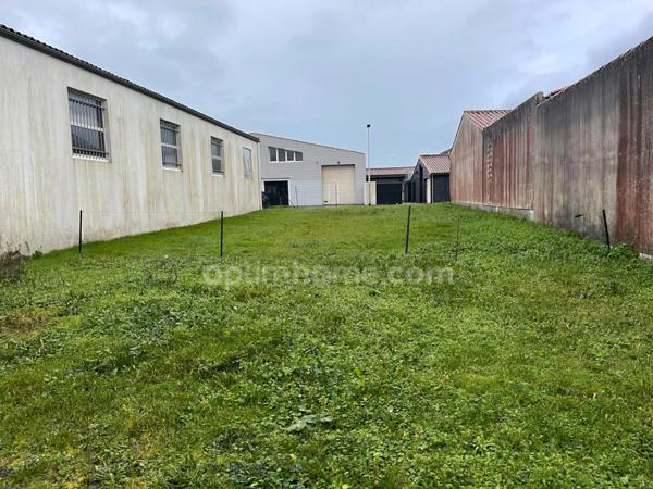 Ensemble immobilier TERRAIN constructible avec Local/bureau SAINTE MARIE DE RE 17740