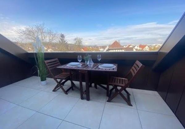 Magnifique et spacieux T3 Coup de cœur de 64 m2-Loi Carrez_93 m2 au sol.climatisé, grande terrasse exposée Sud garage double