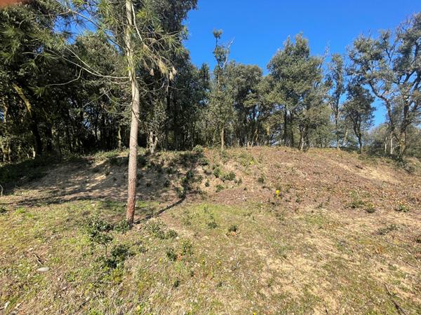 Terrain Longeville Sur Mer 803m2