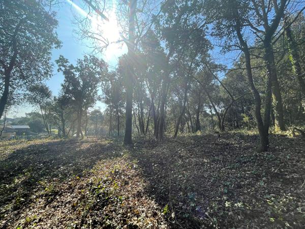 Terrain Longeville Sur Mer 803m2