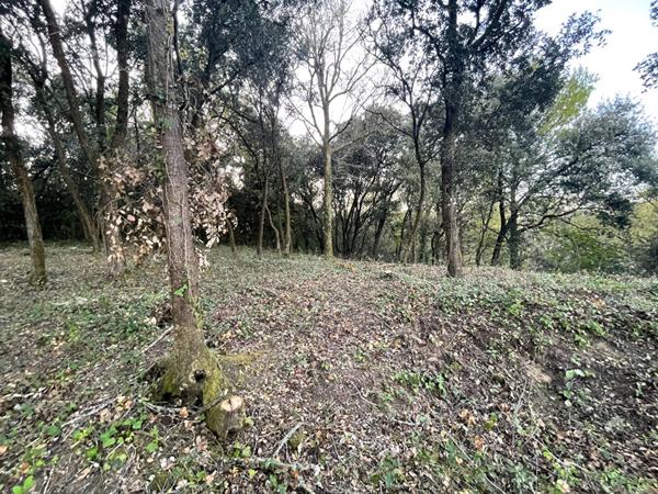 Terrain Longeville Sur Mer 803m2