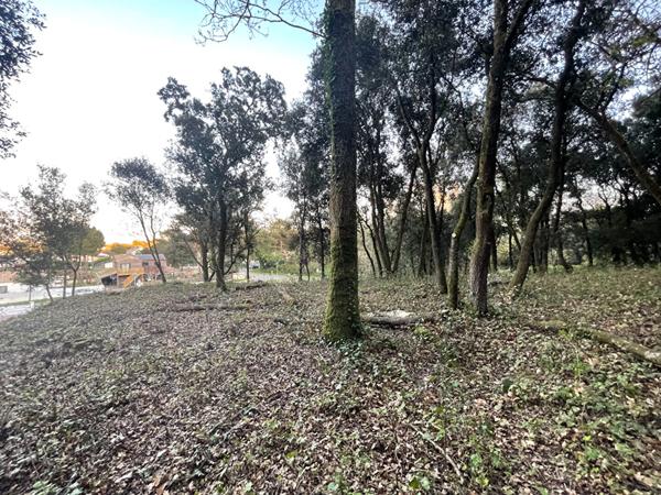 Terrain Longeville Sur Mer 803m2