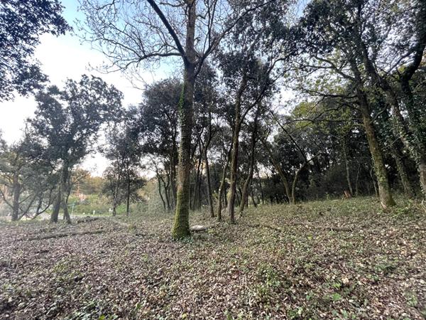 Terrain Longeville Sur Mer 803m2