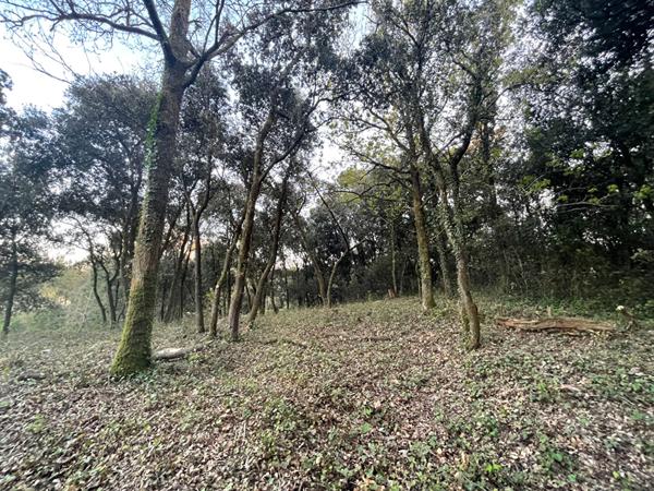 Terrain Longeville Sur Mer 803m2