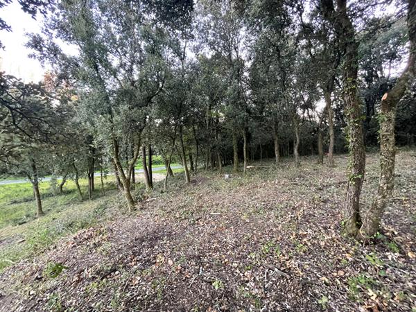 Terrain Longeville Sur Mer 803m2