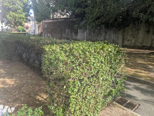 NANTES - Monselet - Appartement T2 loué - 34,60m²