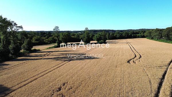 Maison à ELVEN, 56250 - 1 pièce 160m²