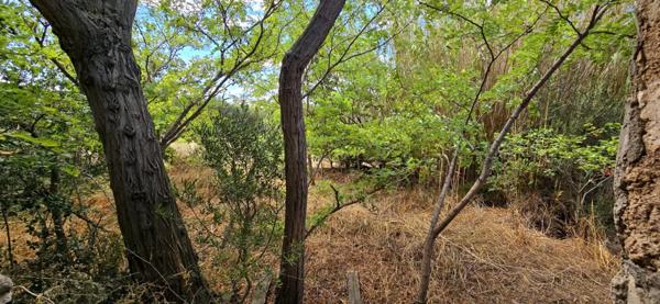 Immobilier La Palme (11480) – Local commercial 75m2 – 67 900 €