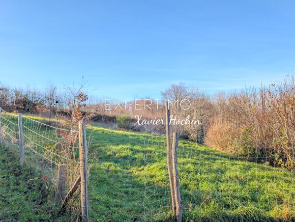 Youx (63700) Charmante maison rénovée avec grand terrain.