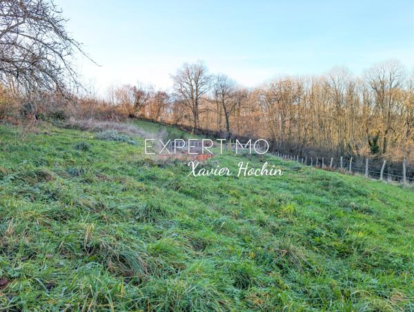 Youx (63700) Charmante maison rénovée avec grand terrain.