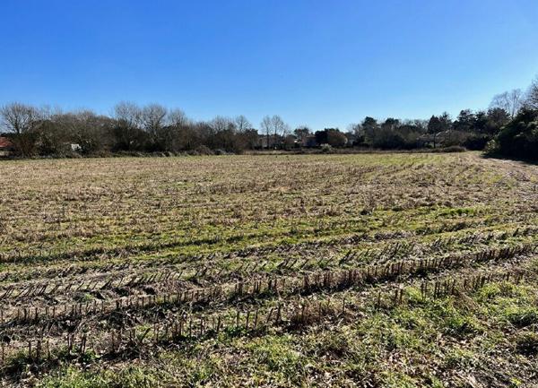 Terrain à vendre    Bénesse-Maremne