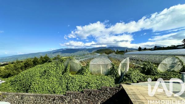 Immeuble à vendre 315 m² Le Tampon