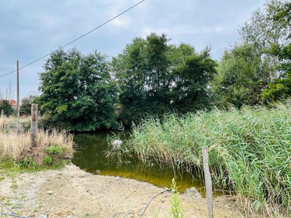 Ferme à fort potentiel