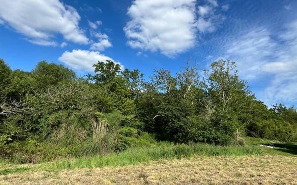 Terrain à vendre 90 200 € Saint-Évarzec 553 m² DPE