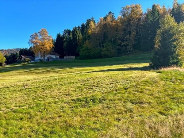 Terrain à vendre de 1036 Proche de GERARDMER (88)