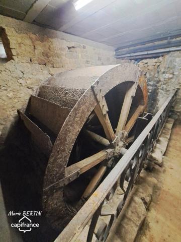 Propriété à vendre 11 pièces CELLES SUR BELLE (79)