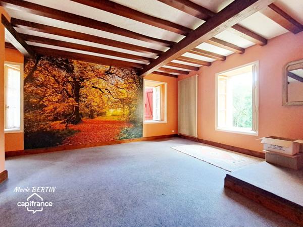 Propriété à vendre 11 pièces CELLES SUR BELLE (79)