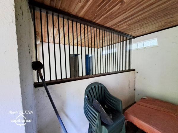 Propriété à vendre 11 pièces CELLES SUR BELLE (79)