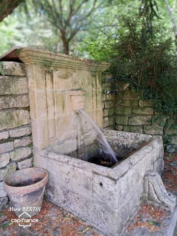 Propriété à vendre 11 pièces CELLES SUR BELLE (79)