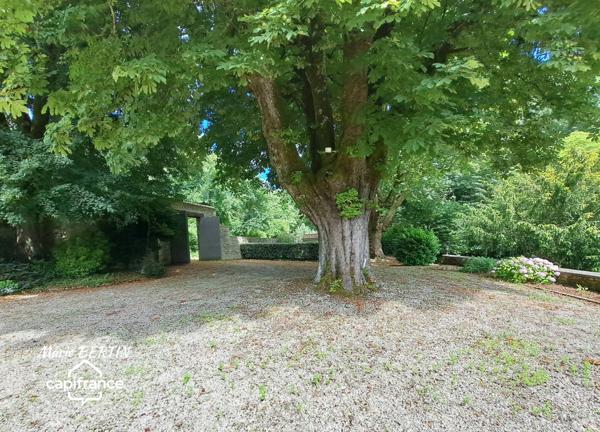 Propriété à vendre 11 pièces CELLES SUR BELLE (79)