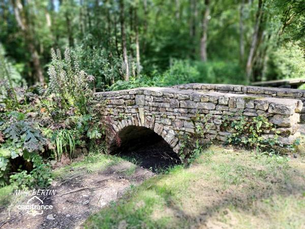 Propriété à vendre 11 pièces CELLES SUR BELLE (79)