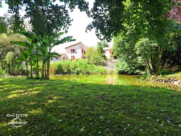 Propriété à vendre 11 pièces CELLES SUR BELLE (79)