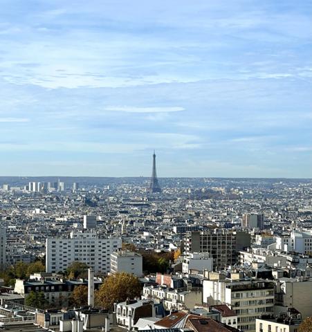Appartement à vendre 2 pièces PARIS 20EME - Un balcon sur la plus belle ville du monde : Paris à vos pieds et le ciel pour vous seul !