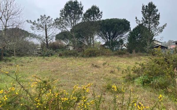 Terrain à vendre |  Saugnacq-et-Muret |  1531 m²