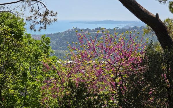 Terrain à vendre    La Gaude