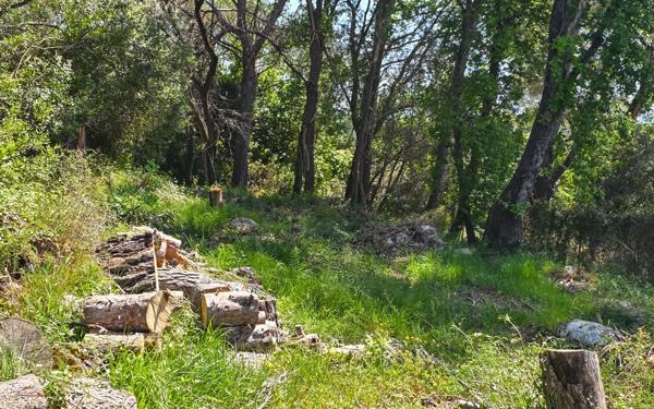 Terrain à vendre    La Gaude