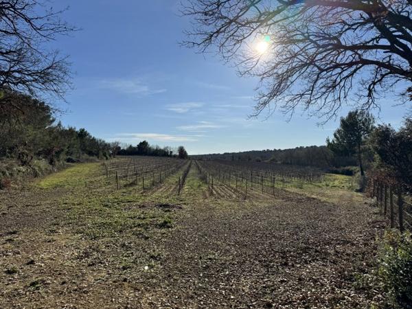 Vente / Terrain agricole