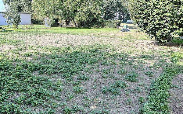 Terrain à vendre    Noyal-Muzillac