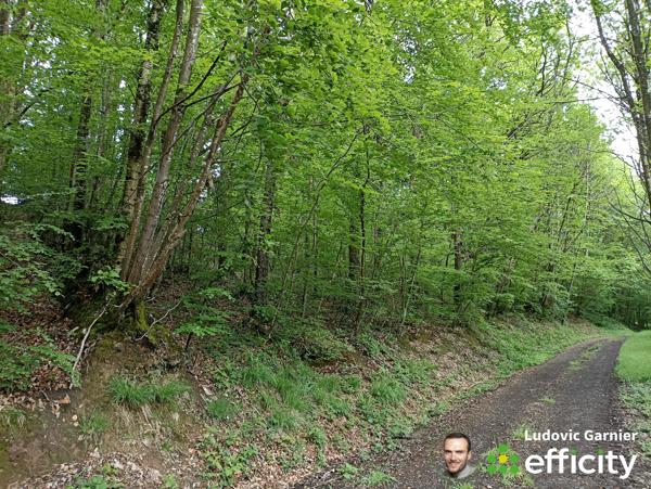 Terrain
        
        - 4160 m² Exclusivité 4 950 € *