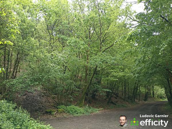 Terrain
        
        - 4160 m² Exclusivité 4 950 € *
