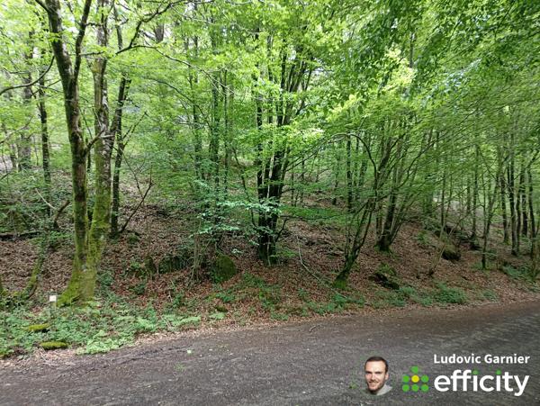 Terrain
        
        - 4160 m² Exclusivité 4 950 € *