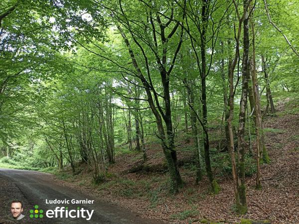 Terrain
        
        - 4160 m² Exclusivité 4 950 € *