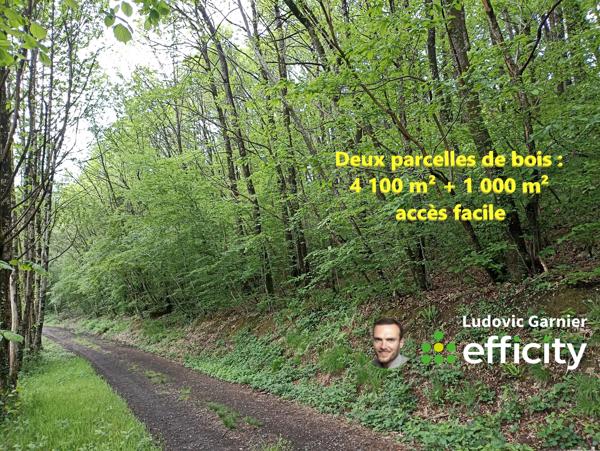 Terrain
        
        - 4160 m² Exclusivité 4 950 € *
