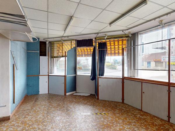 Lot complet de 1 commerce et de 2 appartements caves et jardins garage