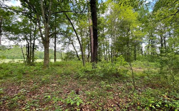 Terrain à vendre    Saint-Geours-de-Maremne