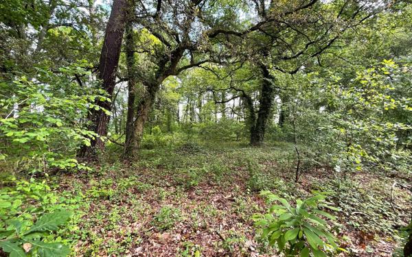 Terrain à vendre    Saint-Geours-de-Maremne