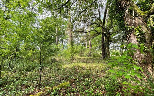 Terrain à vendre    Saint-Geours-de-Maremne