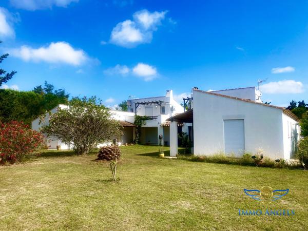 Mas de 320m2 sur 9000 m2 de terrain composé de 2 habitations