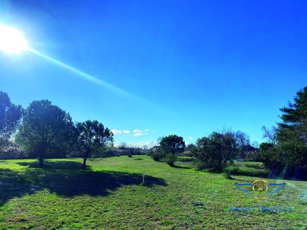 Mas de 320m2 sur 9000 m2 de terrain composé de 2 habitations