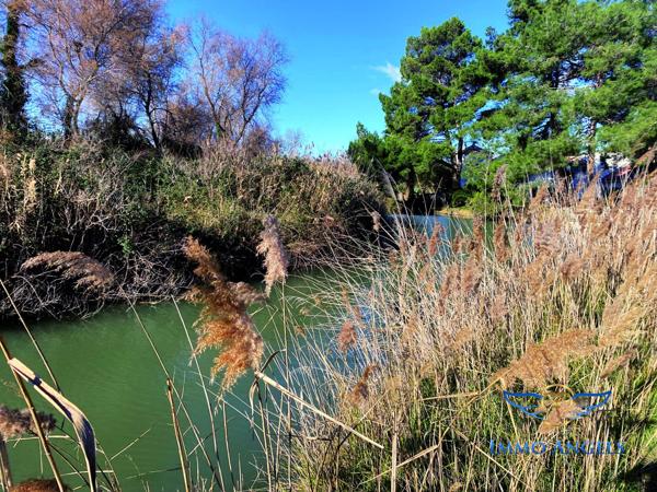 Mas de 320m2 sur 9000 m2 de terrain composé de 2 habitations