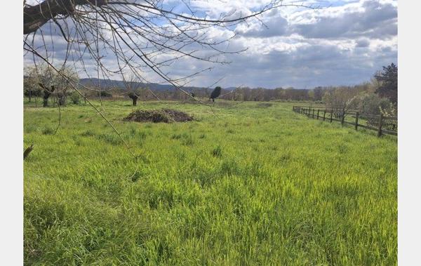 Vente Maison Les vans   