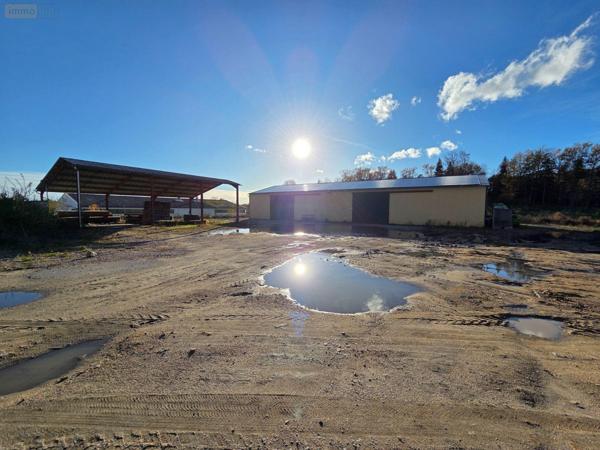 Local d'activité à vendre à Eyrein en Corrèze (19800), ref : 10803/121