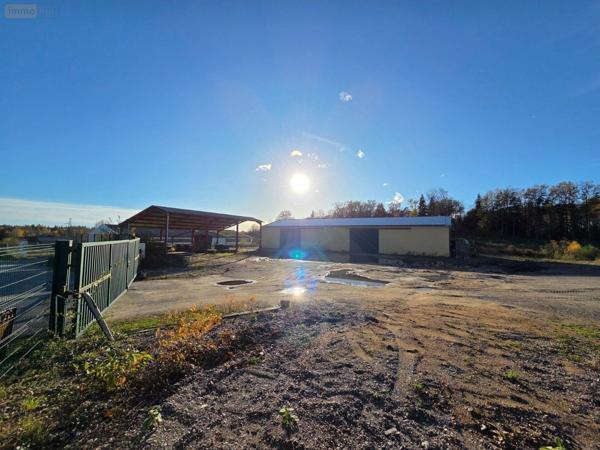 Local d'activité à vendre à Eyrein en Corrèze (19800), ref : 10803/121
